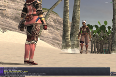 ffxi_2011.07.09_20.11.04