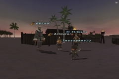 ffxi_2013.02.06_22.11.50